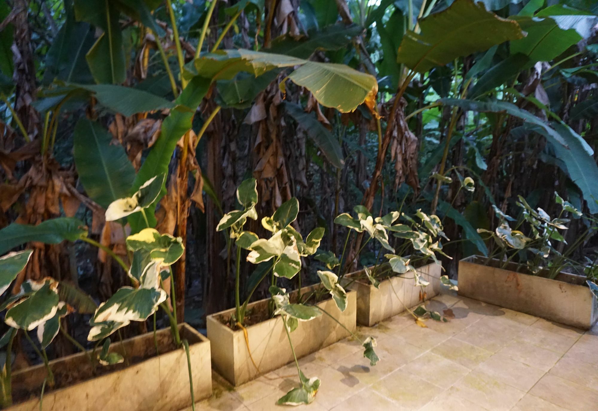 Villa De View Csiangdau Kültér fotó