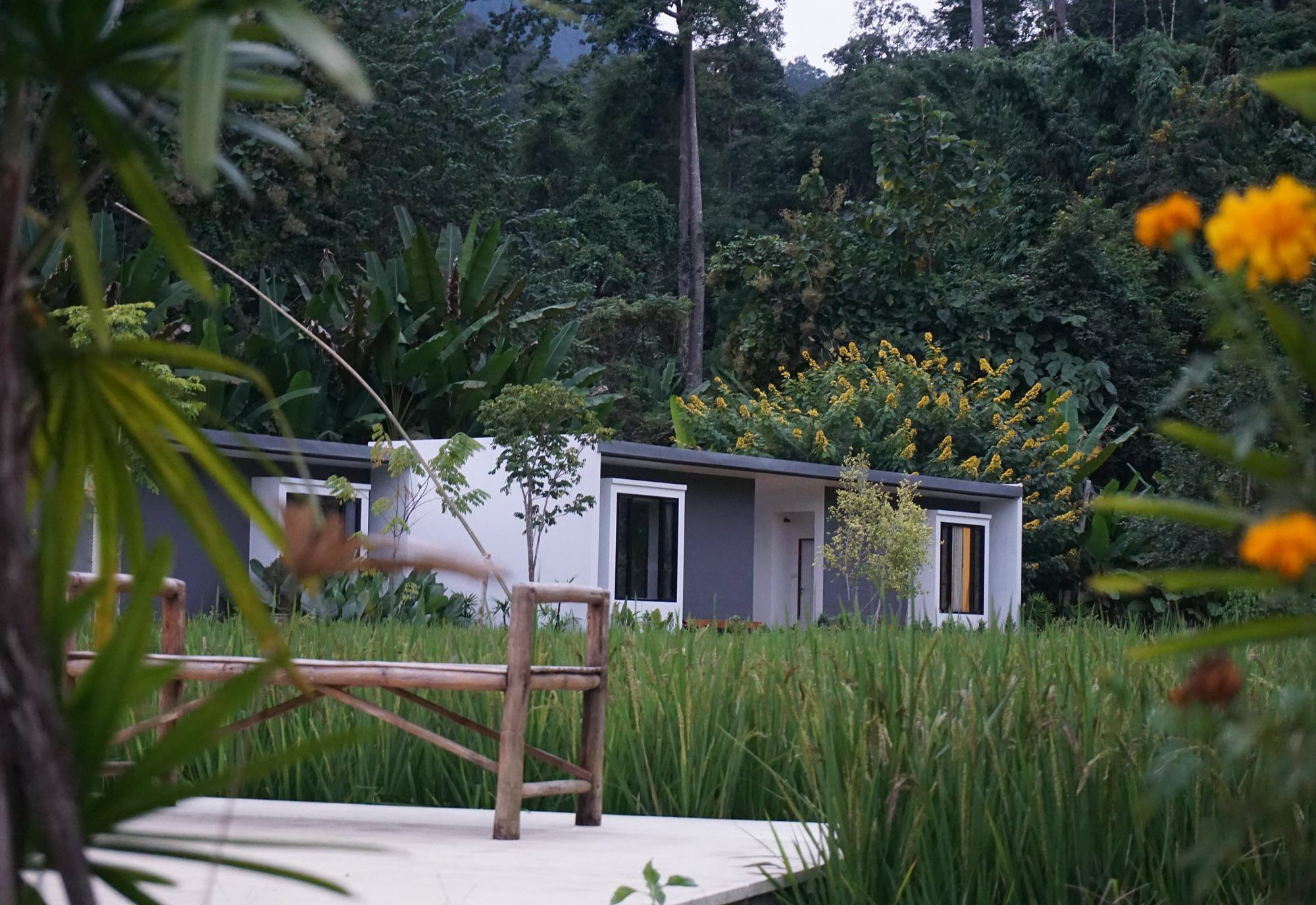 Villa De View Csiangdau Kültér fotó